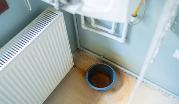 Best 24/7 water damage repair  in Berryville, TX